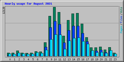 Hourly usage for August 2021