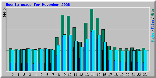 Hourly usage for November 2023
