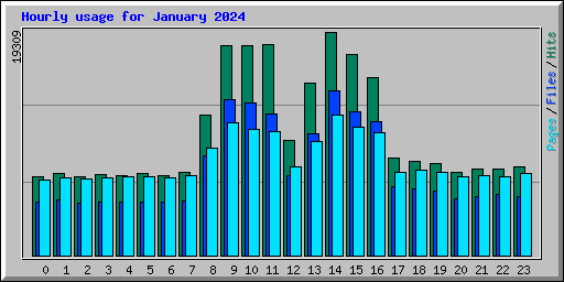 Hourly usage for January 2024