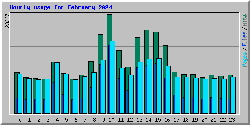 Hourly usage for February 2024