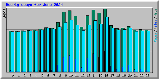 Hourly usage for June 2024
