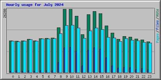Hourly usage for July 2024