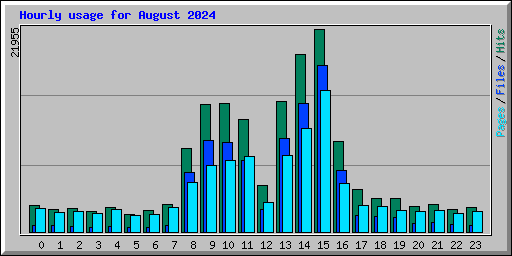 Hourly usage for August 2024